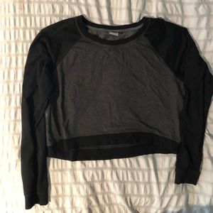 Juniors champion size Large cropped sweatshirt